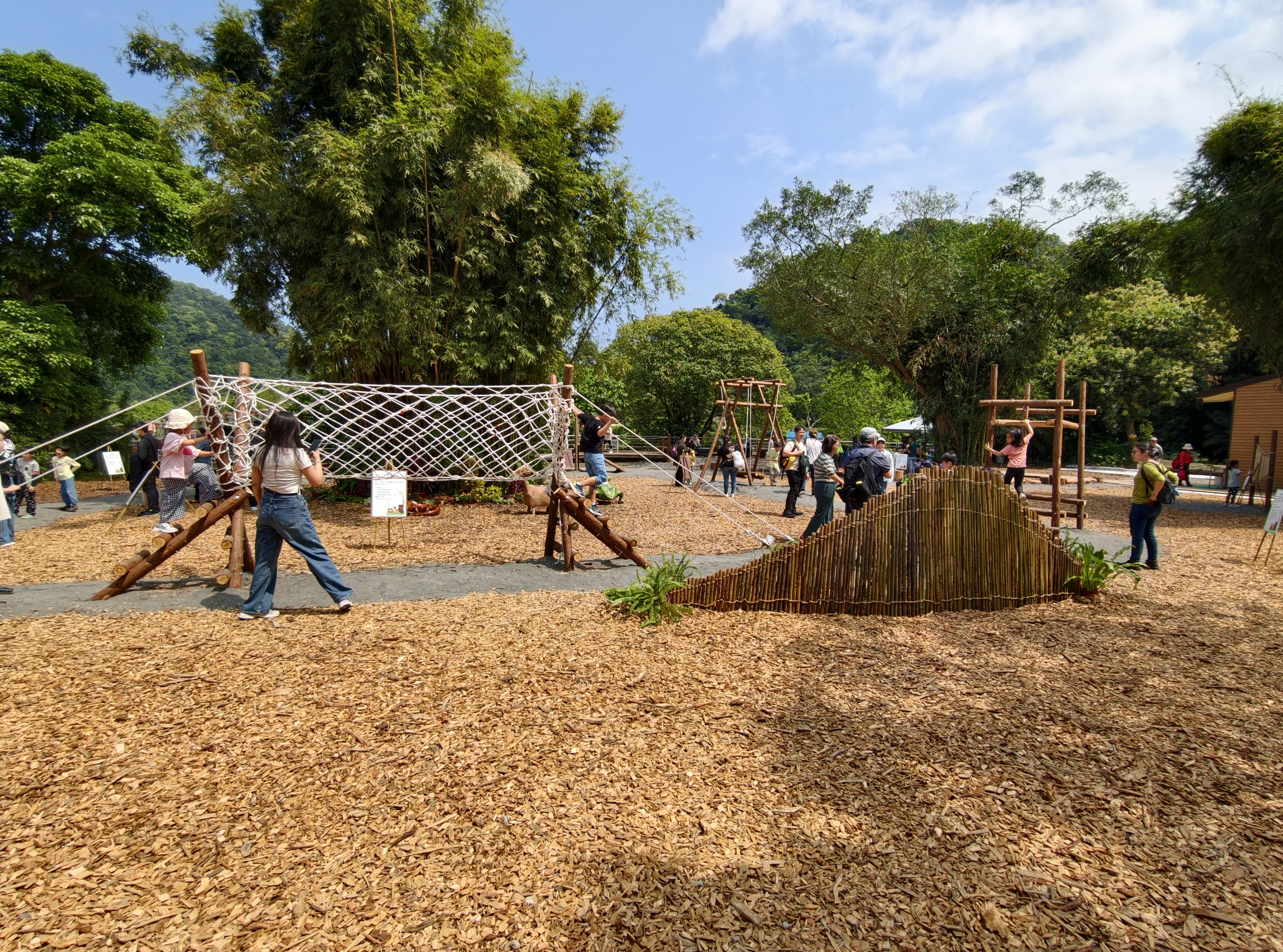 พิพิธภัณฑ์ป่าไม้ 剪影 2