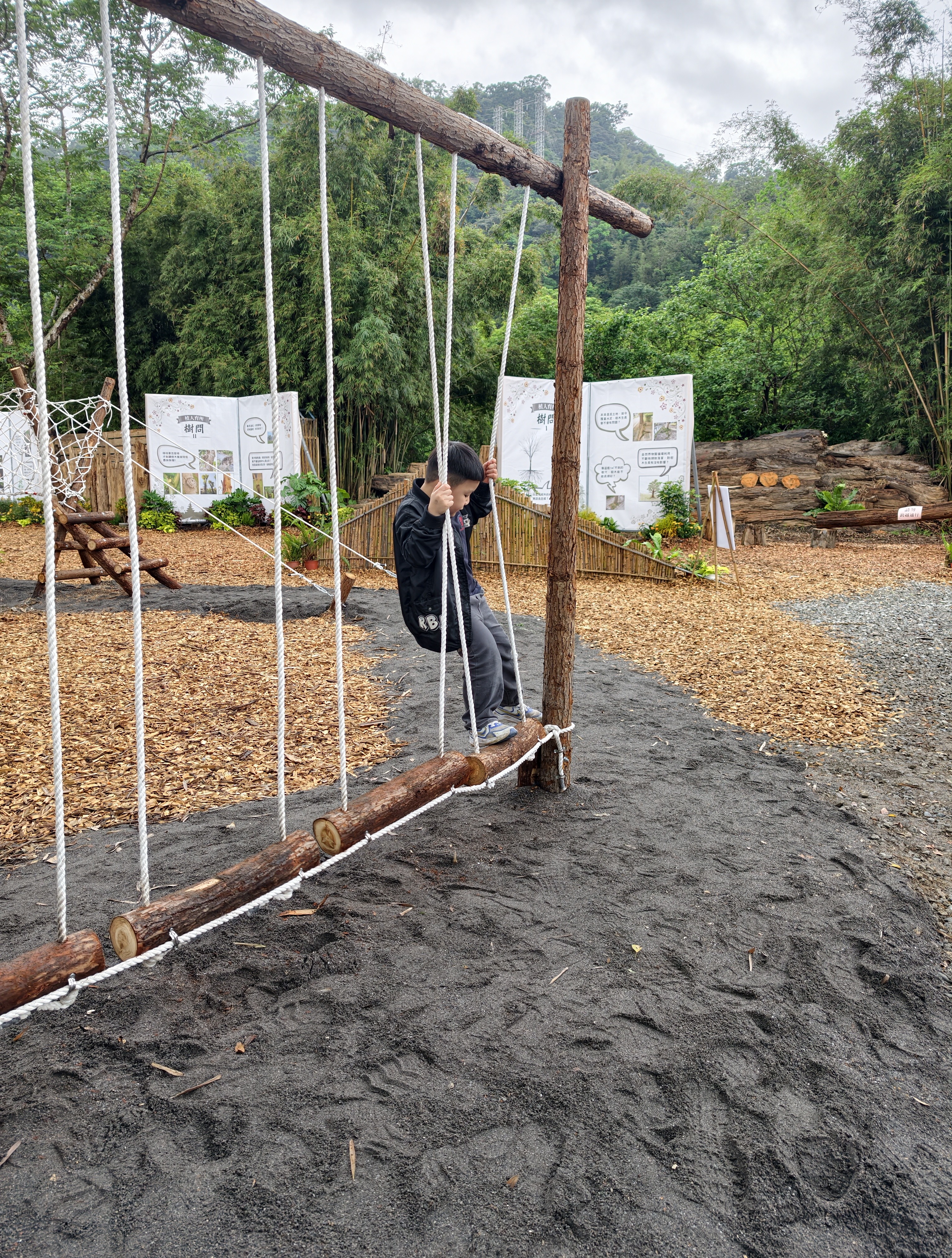 พิพิธภัณฑ์ป่าไม้ 剪影 5