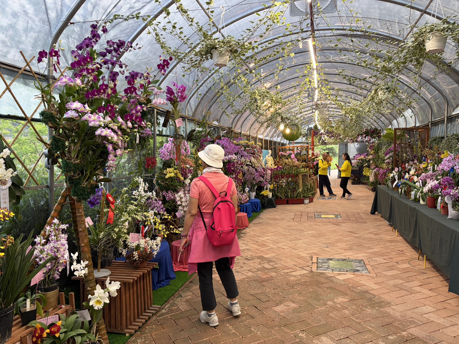 ศาลาดอกไม้ 剪影 2