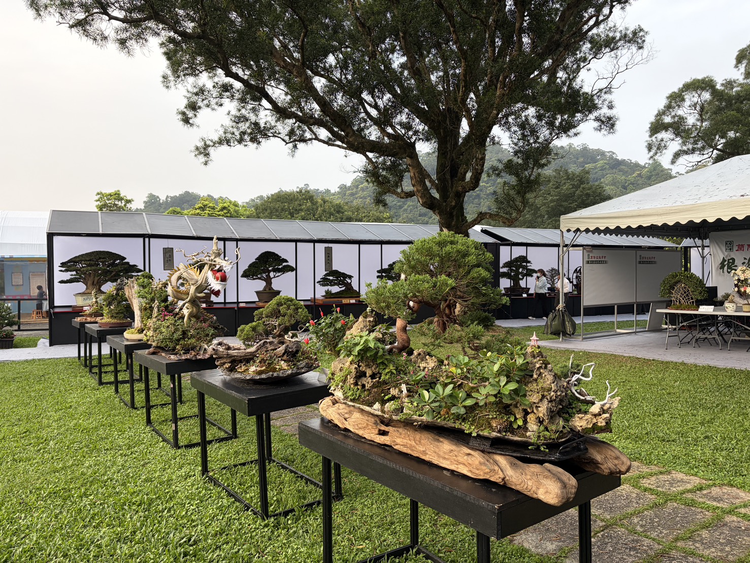 ศาลาบอนไซ 剪影 2