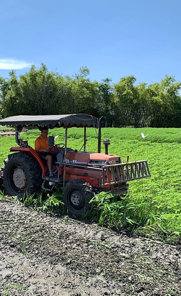 陳家庄農園 永續行動照片